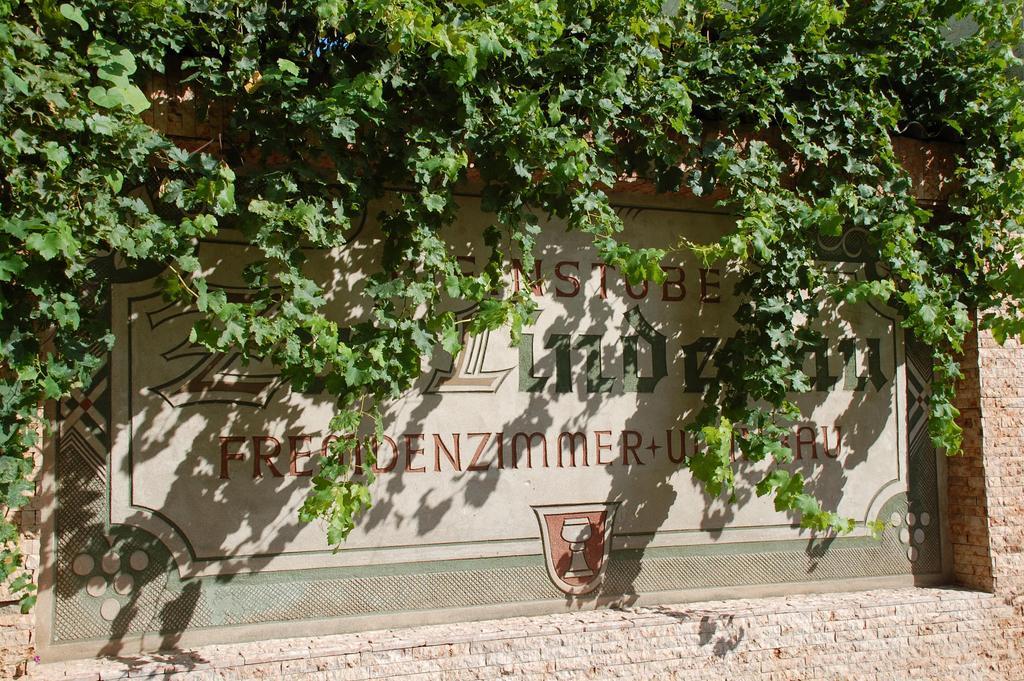 Hotel Zur Lindenau Rüdesheim am Rhein Exterior foto